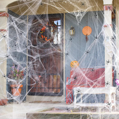 Haunted House Spider Web