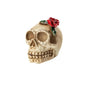 LED Skull Decor - Realistic Glowing Skeleton Heads