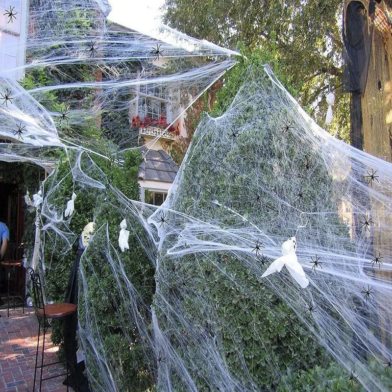 Haunted House Spider Web