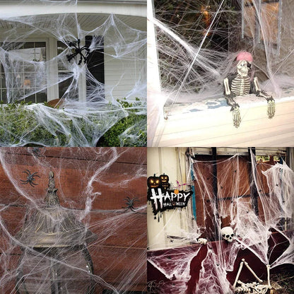 Super Real Spider Web Fake Spider