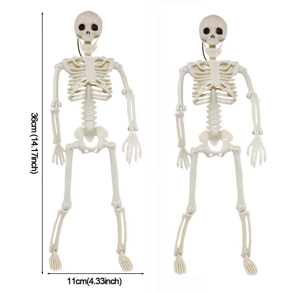 1/2pcs Halloween Skull