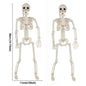 1/2pcs Halloween Skull