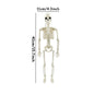 40/90cm Halloween Skeletons Fake Full Body