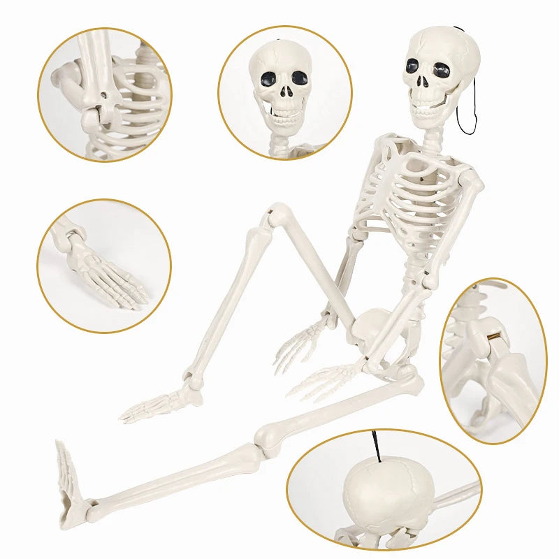 40/90cm Halloween Skeletons Fake Full Body