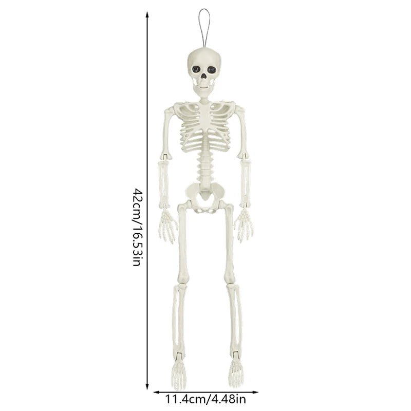 1-3Pcs Halloween Posable Skull