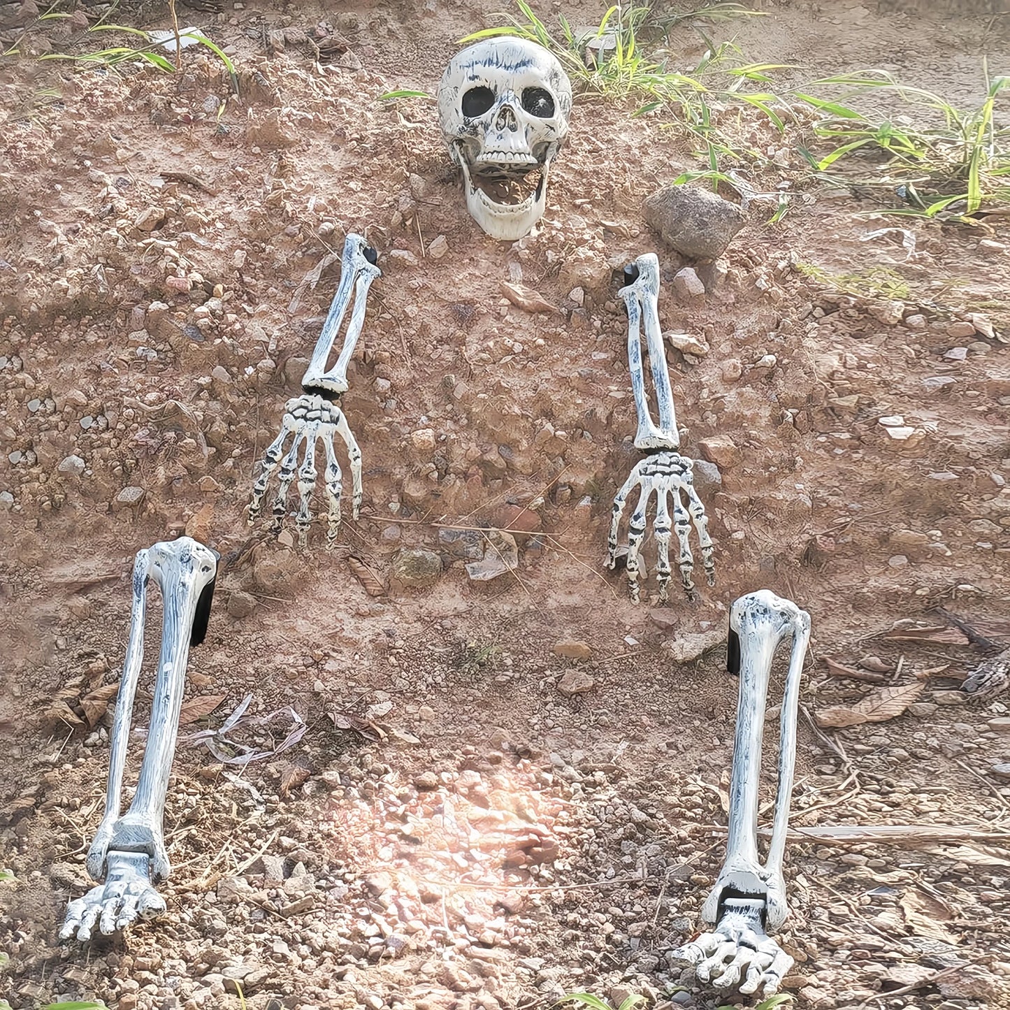 Skeleton Coming Out of the Ground