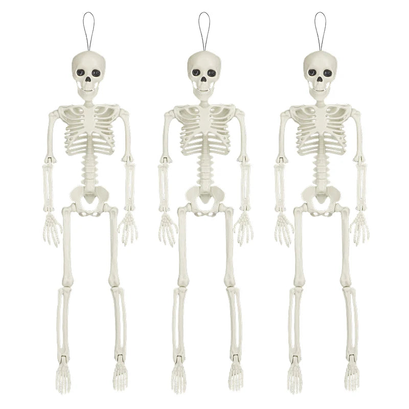 1-3Pcs Halloween Posable Skull