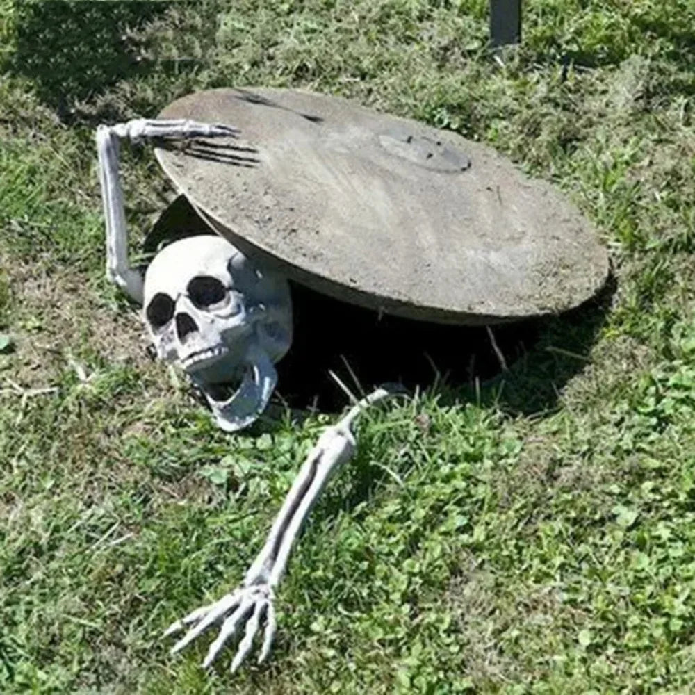 Skull & Skeletons