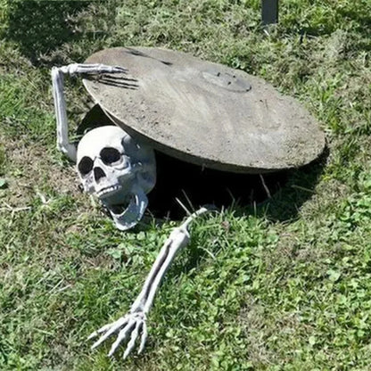 Skull & Skeletons