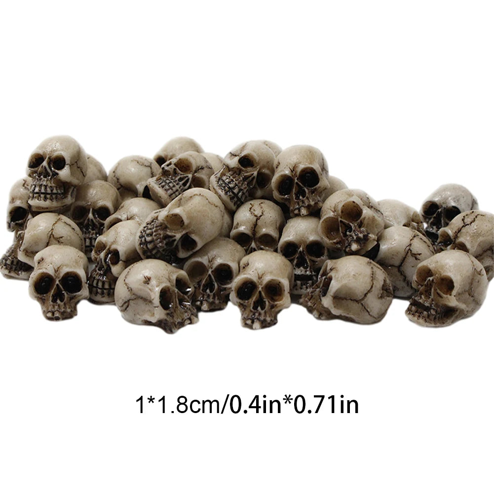 Skull Head Sculptures Collectable