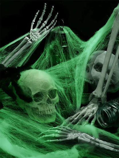 Glow-In-The-Dark Spider Web with Spiders