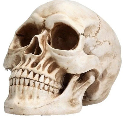 Skull Crafts Personalized Ornaments