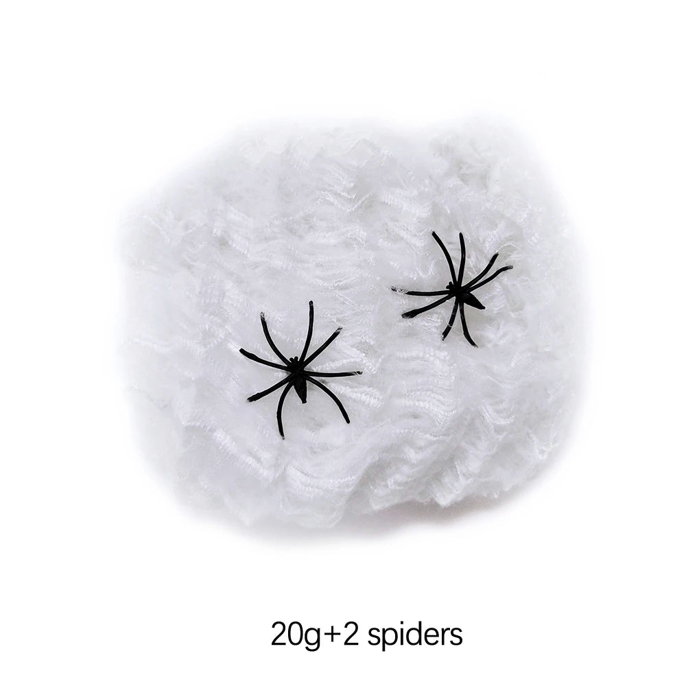 Haunted House Spider Web