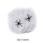 Haunted House Spider Web