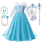 Summer Fancy Queen Elsa Anna Costume Girls