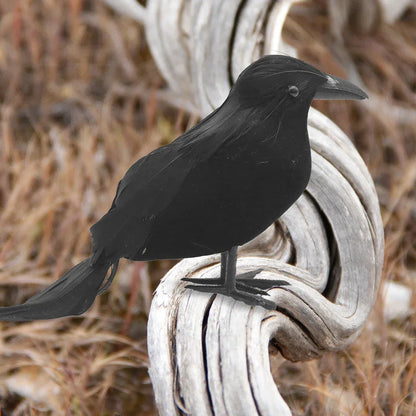 1-6PCS Scare Black Feather Crow