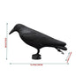 Fake Raven Resin Statue Bird Crow