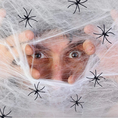 Super Real Spider Web Fake Spider