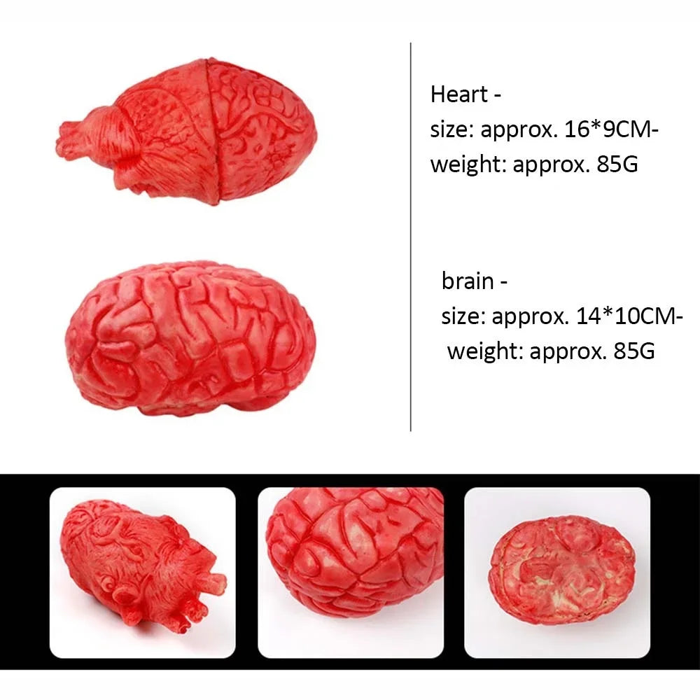 Halloween Horror Props Bloody Handger Leg Foot Brain Heart Halloween Supplies