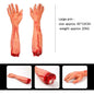 Halloween Horror Props Bloody Handger Leg Foot Brain Heart Halloween Supplies