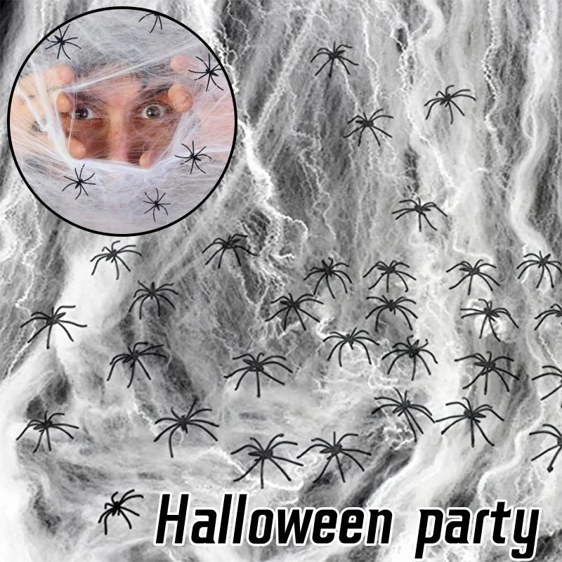 Super Real Spider Web Fake Spider