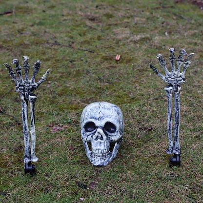 Skull & Skeletons