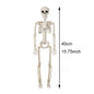 40cm Halloween Human Shape Skeleton