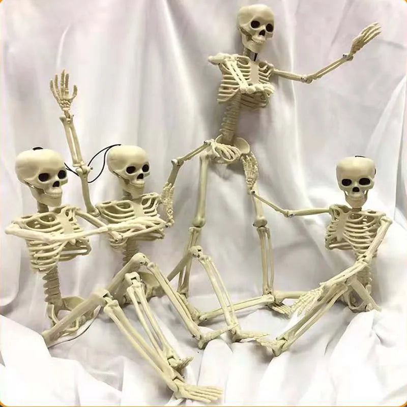40cm Posable Skeleton Human Shape Bones