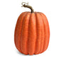 Pumpkin Set Rustic Farmhouse Centerpiece