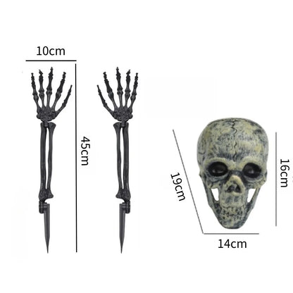 Skull & Skeletons