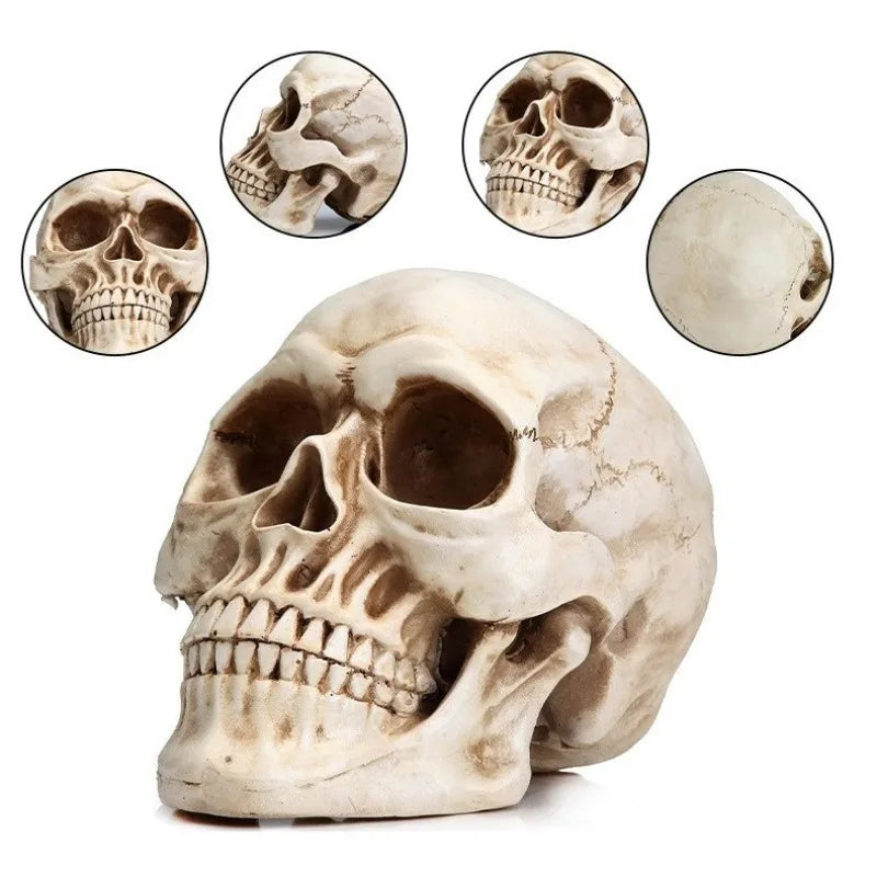 Skull Crafts Personalized Ornaments