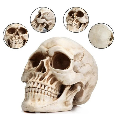 Skull Crafts Personalized Ornaments