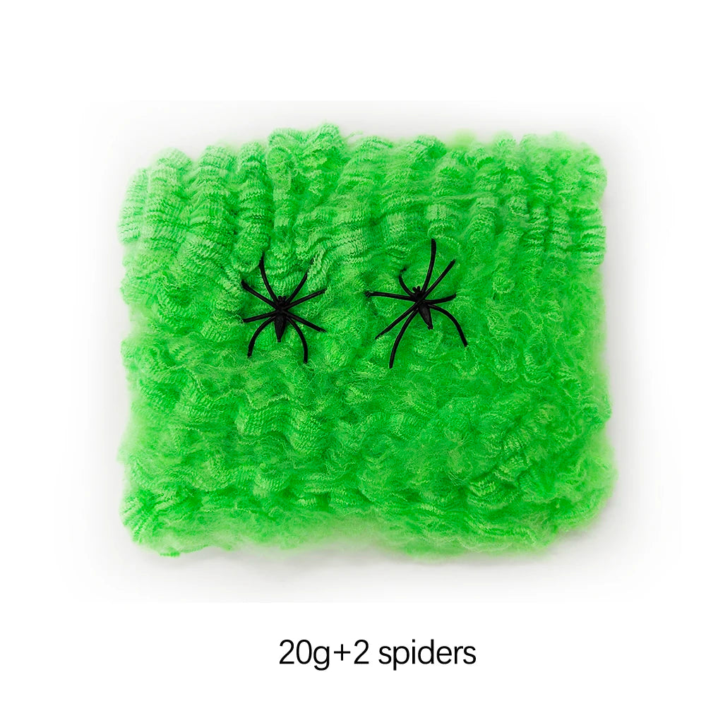 Haunted House Spider Web