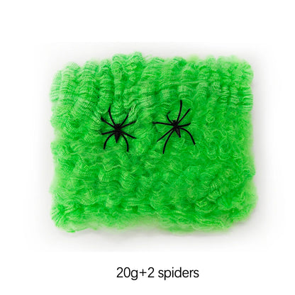 Haunted House Spider Web
