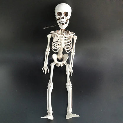 40cm Posable Skeleton Human Shape Bones
