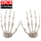 Scary Skull Hand Realistic Skeleton