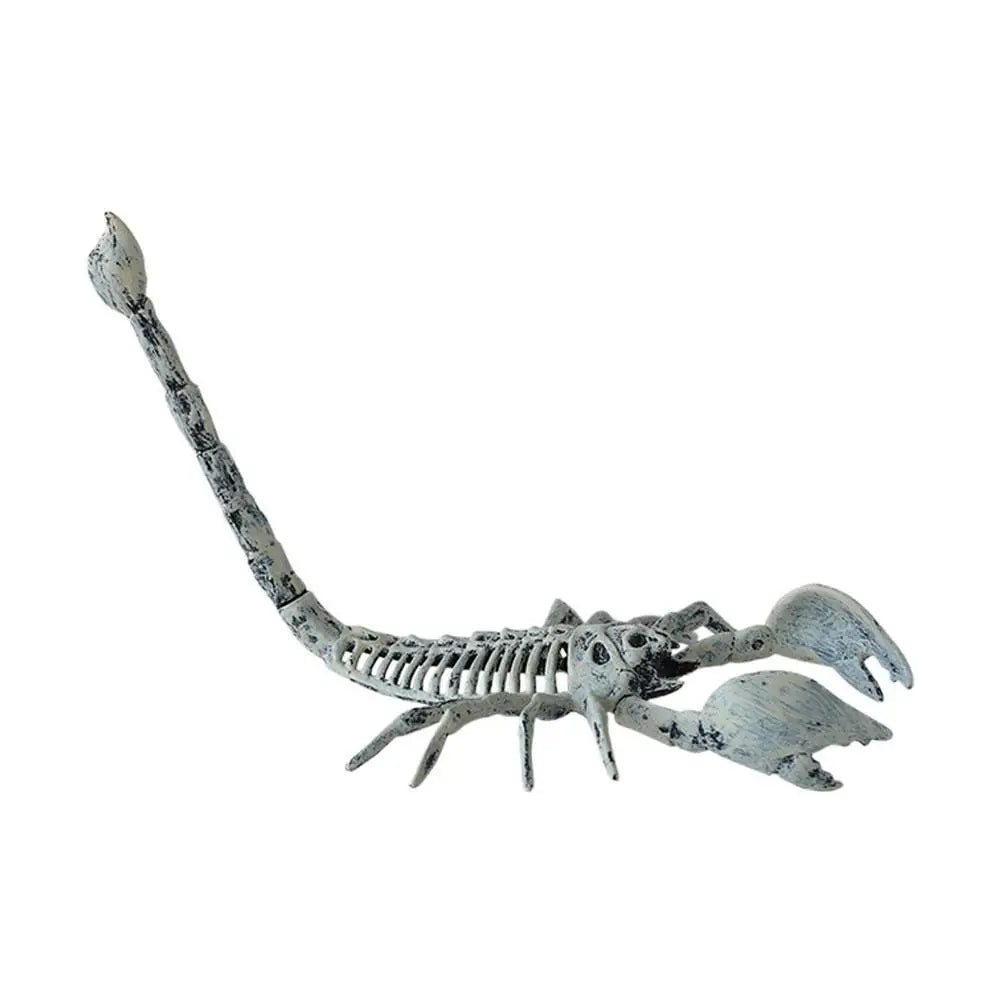 Animal Skeleton Decor - Festivewarehouse™