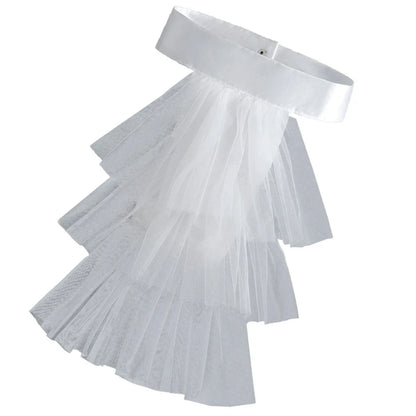 Elegant Victorian Costume