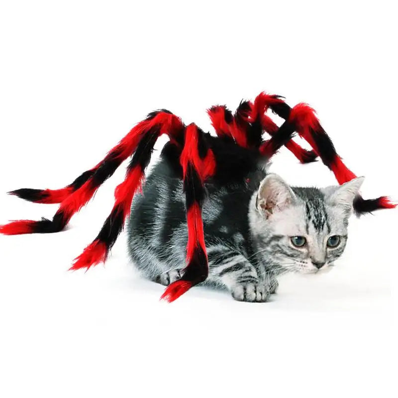 Pet Spider Costume for Pets