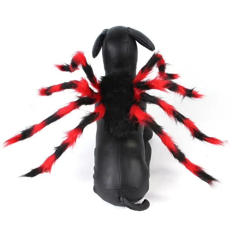 Pet Spider Costume for Pets