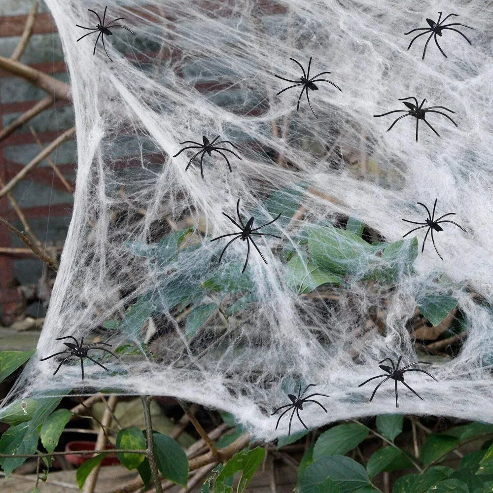 Super Real Spider Web Fake Spider