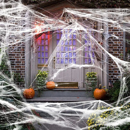 Haunted House Spider Web