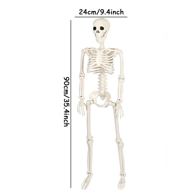 40/90cm Halloween Skeletons Fake Full Body