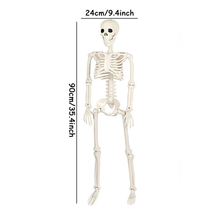 40/90cm Halloween Skeletons Fake Full Body