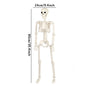40/90cm Halloween Skeletons Fake Full Body