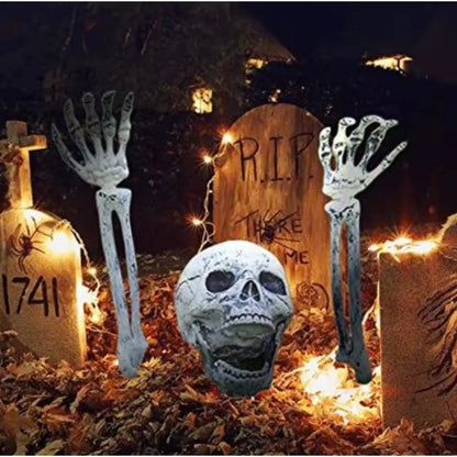 Skull & Skeletons