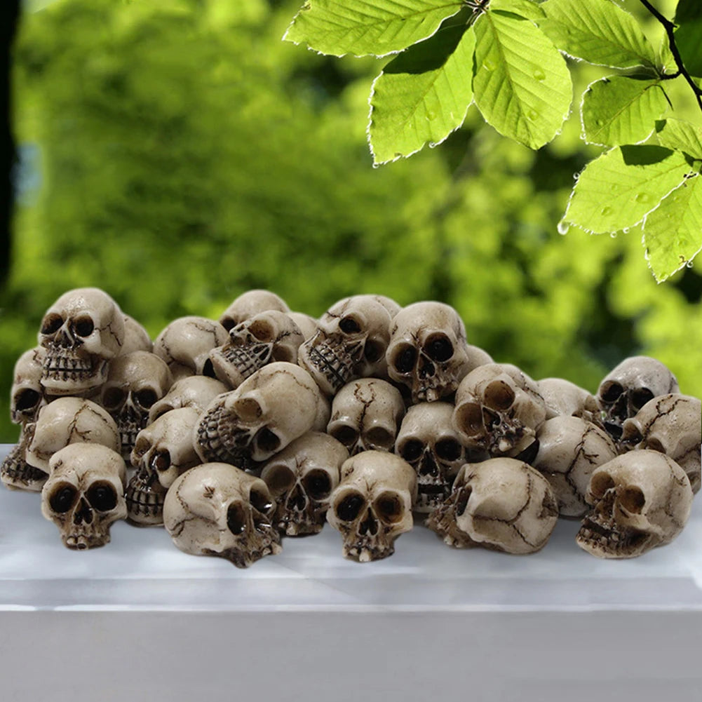 Skull Head Sculptures Collectable