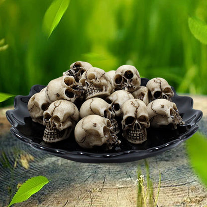 Skull Head Sculptures Collectable