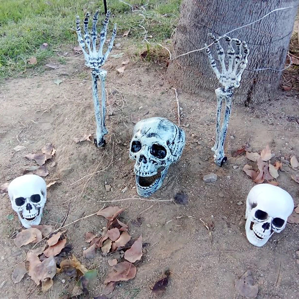 Realistic Plastic Skull