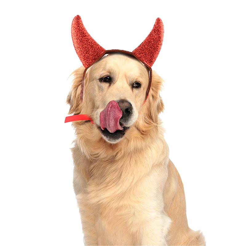 Ox Horn Headband for Pets